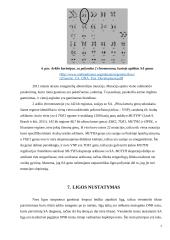 Arklių smegenėlių abiotrofija 7 puslapis