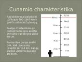 2004m. Indijos vandenyno cunamis 4 puslapis