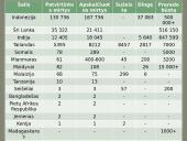 2004m. Indijos vandenyno cunamis 7 puslapis