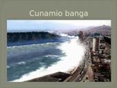 2004m. Indijos vandenyno cunamis 8 puslapis