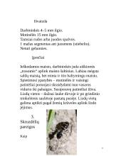 Skruzdėlės 11 puslapis