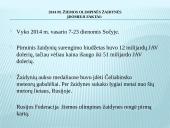 Sočis - olimpinis parkas 2014 2 puslapis