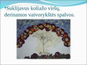 Floristinio koliažo skaidrės 5 puslapis