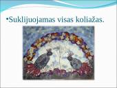 Floristinio koliažo skaidrės 6 puslapis