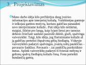 Floristinio koliažo skaidrės 8 puslapis