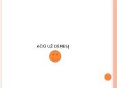 10 patikusiųjų dailės kūrinių charakteristika 12 puslapis