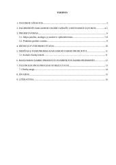 Interjerinis koliažas. Technologijų mokyklinio brandos egzamino baigiamojo darbo aprašas 2 puslapis