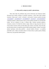 Interjerinis koliažas. Technologijų mokyklinio brandos egzamino baigiamojo darbo aprašas 6 puslapis