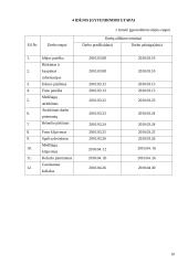 Interjerinis koliažas. Technologijų mokyklinio brandos egzamino baigiamojo darbo aprašas 10 puslapis
