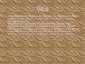 Mesopotamijos civilizacija 3 puslapis