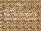 Mesopotamijos civilizacija 5 puslapis