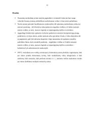 Finansinių nusikaltimų tyrimo tarnybos veikla 13 puslapis