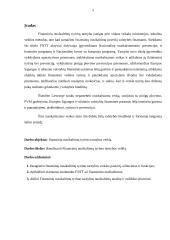 Finansinių nusikaltimų tyrimo tarnybos veikla 3 puslapis