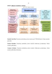 Finansinių nusikaltimų tyrimo tarnybos veikla 10 puslapis