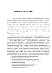 Mediatoriaus žinių ir gebėjimų svarba 4 puslapis