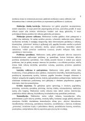 Mediatoriaus žinių ir gebėjimų svarba 9 puslapis