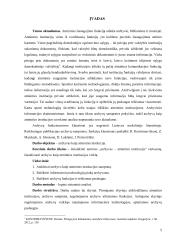 Archyvas - atminties institucija 4 puslapis