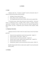 Autoservisų infomacinės sistemos projektas 10 puslapis