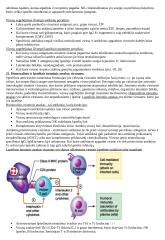 Imunologija konspektas 15 puslapis