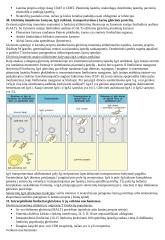 Imunologija konspektas 20 puslapis