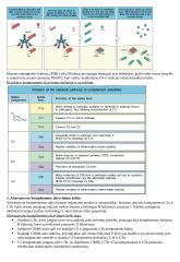 Imunologija konspektas 3 puslapis