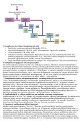 Imunologija konspektas 6 puslapis