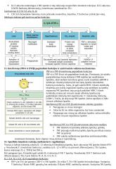 Imunologija konspektas 9 puslapis