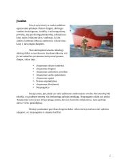 Laivo ir dugno dažai, korozija 2 puslapis