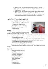 Laivo ir dugno dažai, korozija 11 puslapis