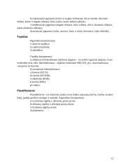 Laivo ir dugno dažai, korozija 12 puslapis