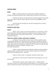 Laivo ir dugno dažai, korozija 5 puslapis