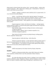 Laivo ir dugno dažai, korozija 6 puslapis