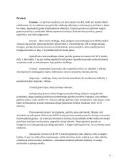 Laivo ir dugno dažai, korozija 9 puslapis