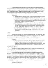 Laivo ir dugno dažai, korozija 10 puslapis