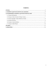 Europos Sąjungos institucijos 2 puslapis