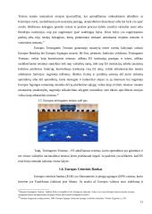 Europos Sąjungos institucijos 11 puslapis