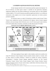 Europos Sąjungos institucijos 4 puslapis