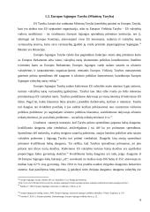 Europos Sąjungos institucijos 8 puslapis