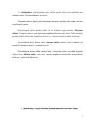 Darbuotojų skatinimo sistema įmonėje 5 puslapis