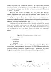 Darbuotojų skatinimo sistema įmonėje 7 puslapis