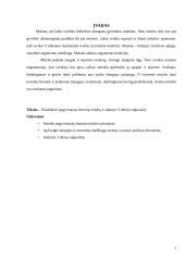 3 dienų valgiaraštis pagyvenusiems žmonėms 3 puslapis