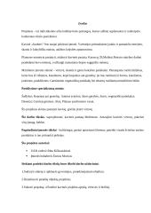 Informatikos kavinės ,,Saulutės‘‘ ir virtuvės atnaujinimo projektinis darbas 3 puslapis