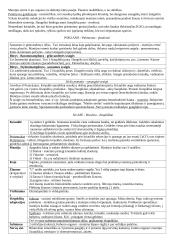 Bestuburių zoologija - Moliuskai 3 puslapis