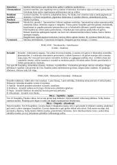 Bestuburių zoologija - Moliuskai 5 puslapis