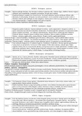 Bestuburių zoologija konspektas 11 puslapis