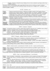 Bestuburių zoologija konspektas 13 puslapis