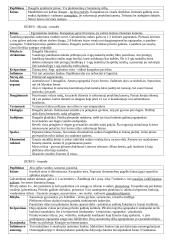 Bestuburių zoologija - Vėžiagyviai 8 puslapis