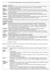 Bestuburių zoologija - Vėžiagyviai 10 puslapis