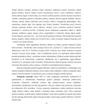 Sveikatos turizmo paslaugos ir rinkiniai 13 puslapis