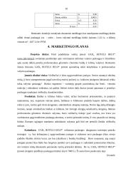 UAB „Hotels Help“ verslo planas 11 puslapis